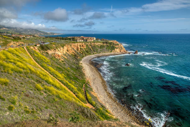 istock Pelican Cove Super Bloom 1140391495