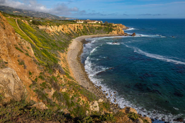 istock Pelican Cove Super Bloom 1140391496