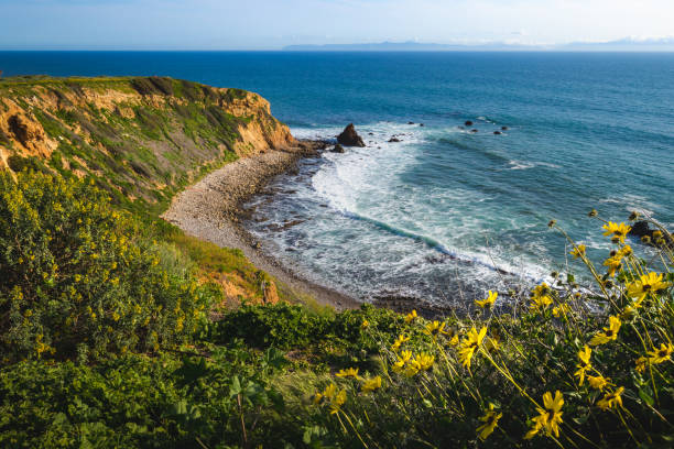 istock Pelican Cove Super Bloom 1140391505