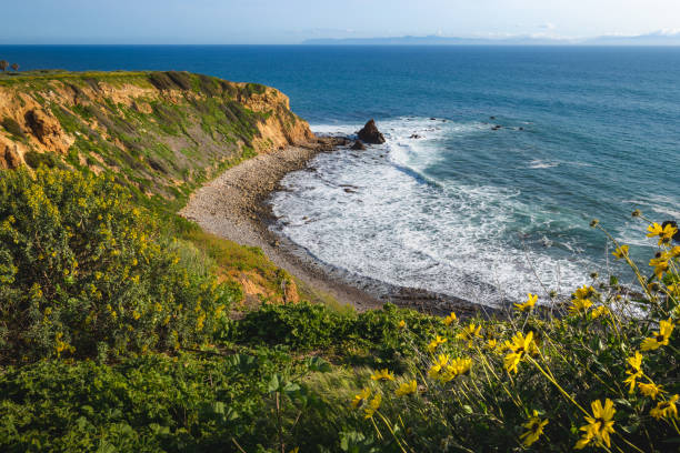 istock Pelican Cove Super Bloom 1140391508
