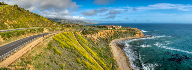 istock Pelican Cove Super Bloom Panorama 1140391509