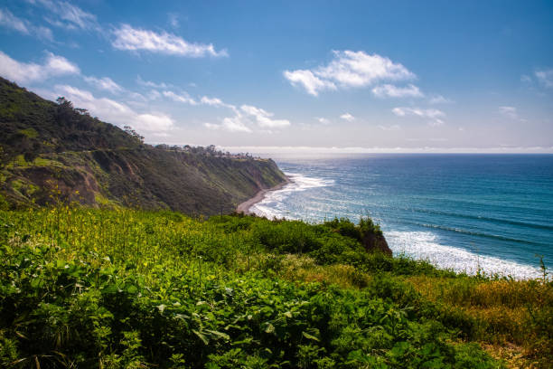 impressionnant bluff cove - palos verdes photos et images de collection