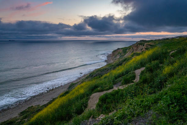 istock Blue Hour at Ocean Trails Reserve 1140391545