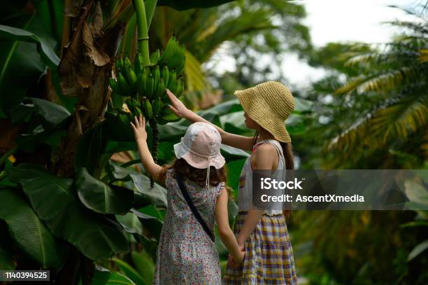 Family Vacation In A Tropical Climate Stock Photo - Download Image Now - Costa Rica, Child, Family
