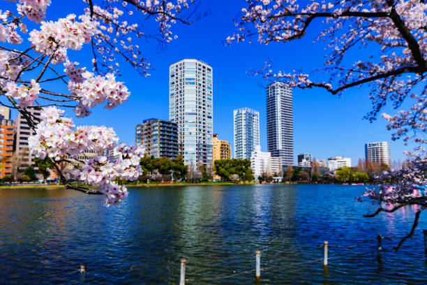 istock Spring Ueno in Tokyo Japan 1140398155
