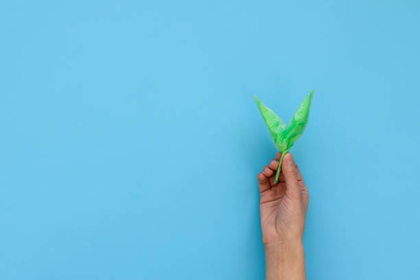istock Hand holding green sprout made from plastic disposable packages on blue background. Save the world, creative, environment pollution or World Earth Day concept. Top view 1140399069