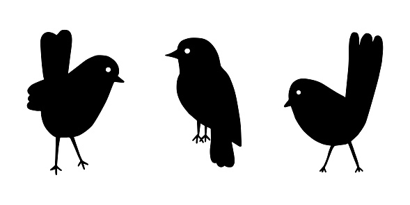 Cartoon style vector illustration of balck and white bird set template. Great design elements for sticker, card, print, poster, other design. Unique and fun drawing icon isolated on white background