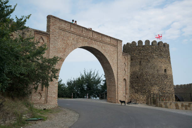 istock Ancient city wall with view to Alazani valley 1140403325