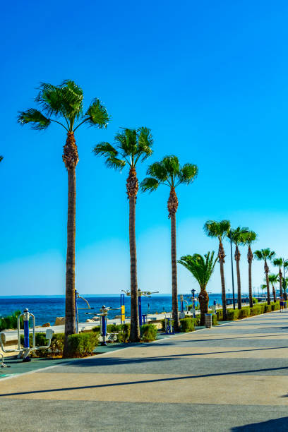 istock People are strolling on Molos promenade on Limassol, Cyprus 1140404612