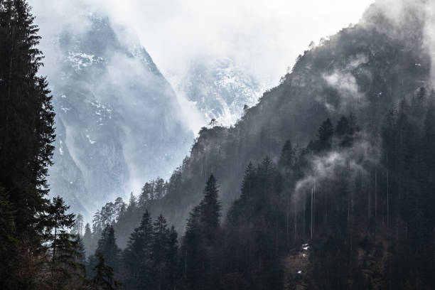 Val Comelico -rainy day in early spring