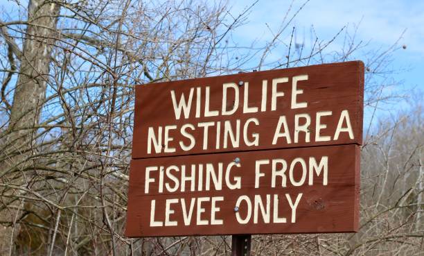 istock Wood Wildlife Sign 1140413427