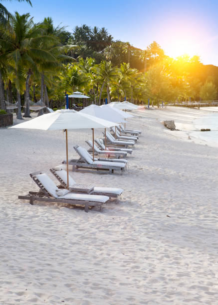 istock chairs on the sandy beach, a palm tree over them and f the blue sea. Polynesia. 1140413538