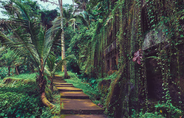 istock Road in the jungle forest.  Landscape in Bali. 1140413720