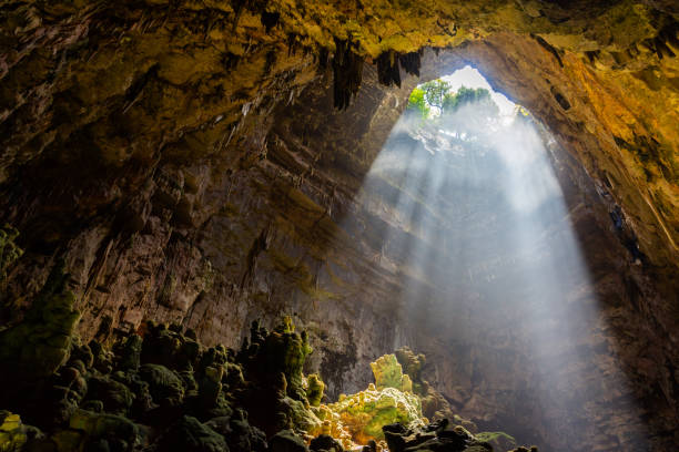 jaskinie castellana, apulia, włochy. - stalagmite zdjęcia i obrazy z banku zdjęć