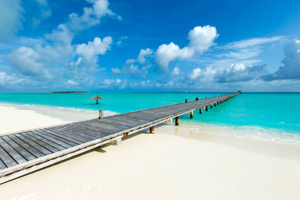 istock Maldives island with white sandy beach and sea 1140415165