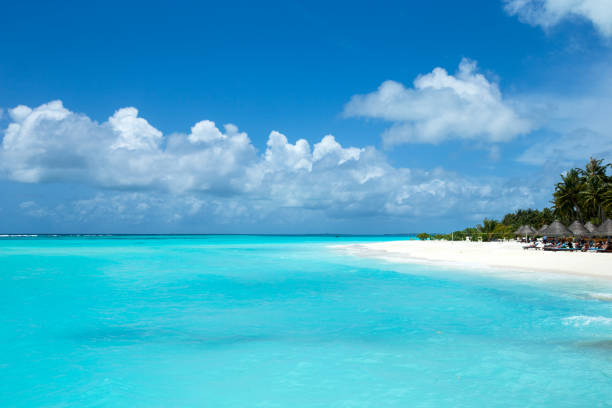 istock Maldives island with white sandy beach and sea 1140415174