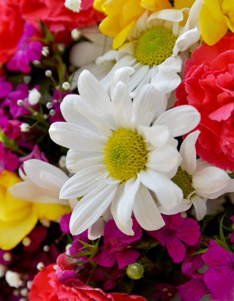 istock bouquet of flowers and daisy 1140415243