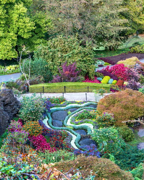 istock Fragment of  Queen Elizabeth  Park 1140415661
