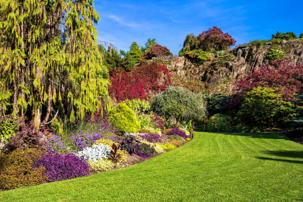 istock Fragment of  Queen Elizabeth  Park 1140415665