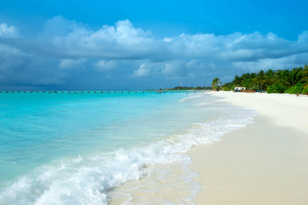 istock tropical Maldives island with white sandy beach and sea 1140416690