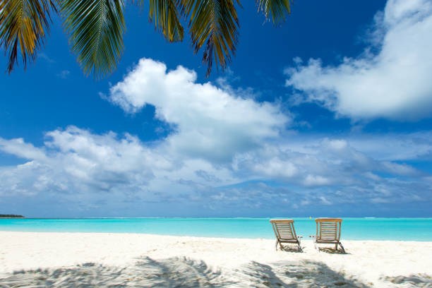 istock tropical Maldives island with white sandy beach and sea 1140416696
