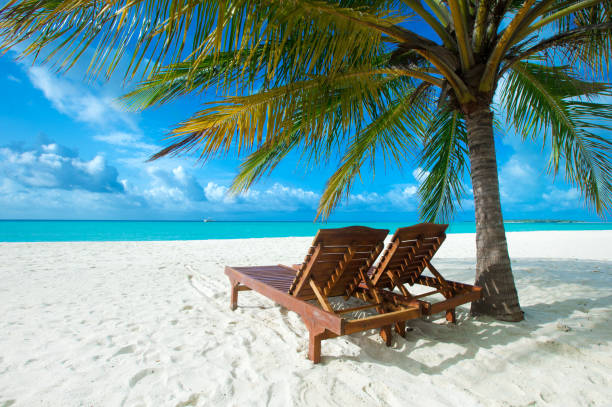 istock tropical Maldives island with white sandy beach and sea 1140416700