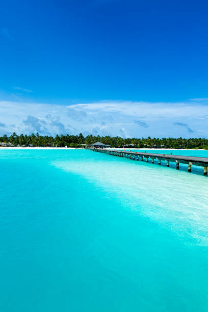 istock Maldives island with white sandy beach and sea 1140416771