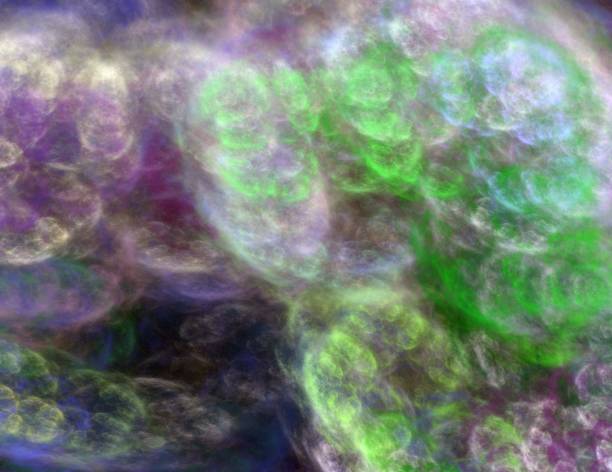 istock image of one Digital Fractal on Black Color 1140416881