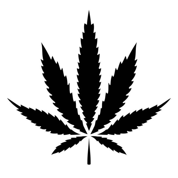 ikona wektora liści marihuany stałej czarny - narcotic medicine symbol marijuana stock illustrations