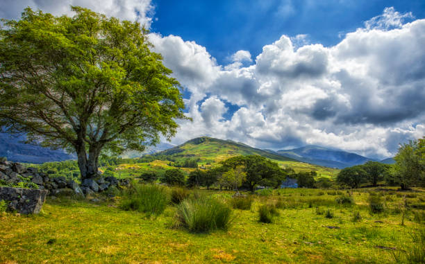 istock Snowdonia National Park - summer 2018 1140420365