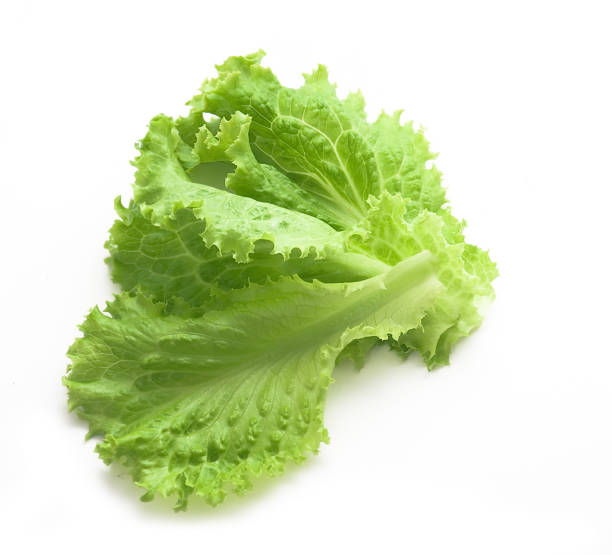 istock Fresh lettuce salad leaves bunch 1140421734