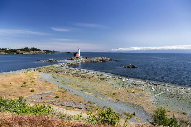 피시 가드 등 대 태평양 북서부 해안선 밴쿠버 아일랜드 빅토리아 bc 캐나다 - lighthouse local landmark blue canada 뉴스 사진 이미지
