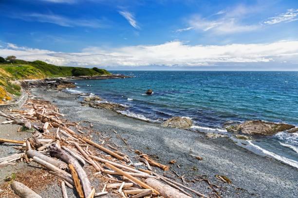 Pacific Ocean Waterfront Landscape on Victoria BC Dallas Road