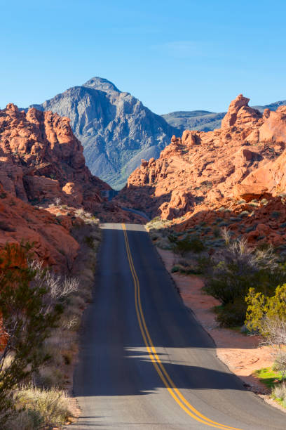 istock Road in the Valley of Fire in Nevada 1140422033