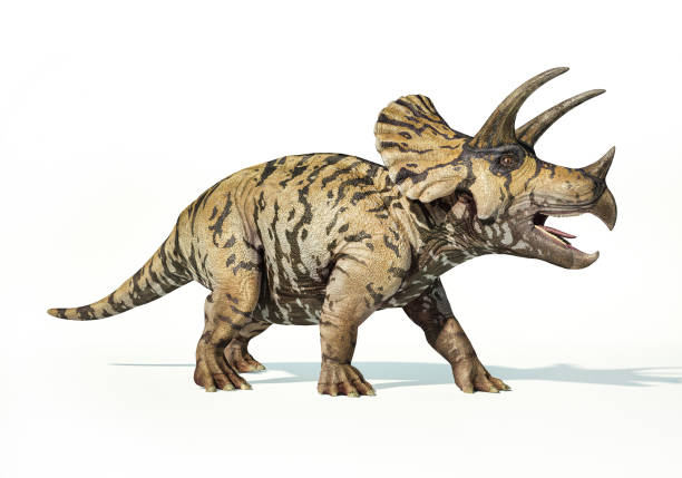 fotorealistyczne renderowanie 3 d triceratops. - primitive times zdjęcia i obrazy z banku zdjęć