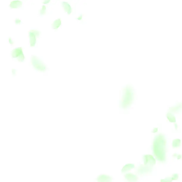 Vector illustration of Green flower petals falling down. Likable romantic