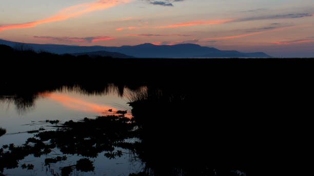 istock Reflection of the sky in the water 1140426959