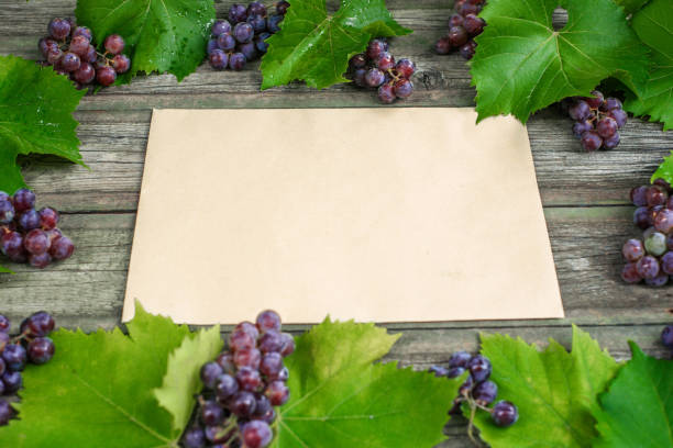 Vine with grapes and leaves around on vintage wooden table. Old paper template in center of background