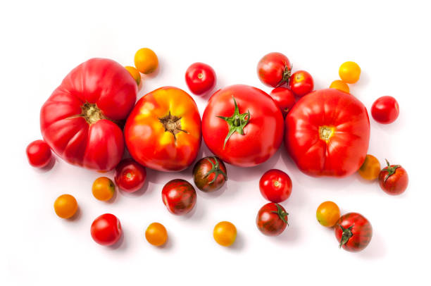 istock Tomatoes overhead assorted close up arrangement isolated on white background 1140433726