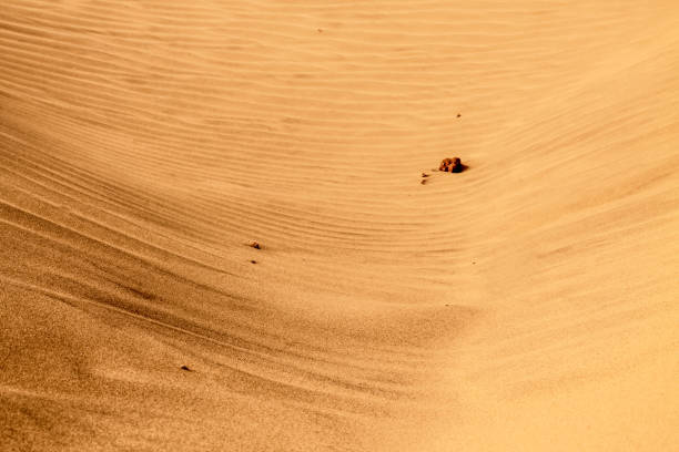 Shape and texture of the shifting desert sands