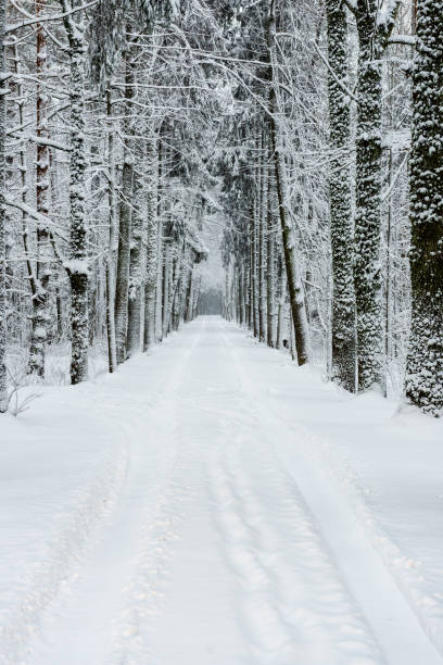 istock snowy winter road covered in ice and snow 1140439969