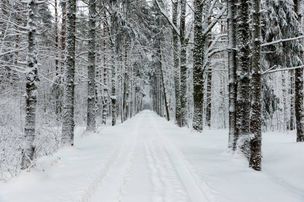 istock snowy winter road covered in ice and snow 1140439976