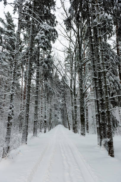 istock snowy winter road covered in ice and snow 1140439982
