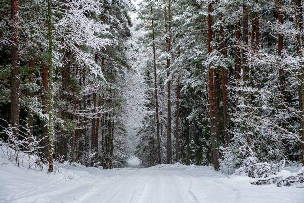istock snowy winter road covered in ice and snow 1140440011