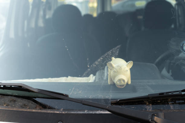 istock Cute fat pig toy behind a car's windshield window 1140440461