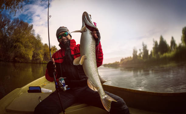 Fishing. Fisherman and trophy Pike.