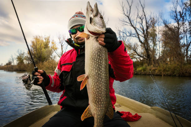 istock Fishing. Fisherman and trophy Pike. 1140446684
