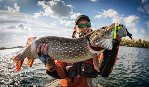 istock Fishing. Fisherman and trophy Pike. 1140446714