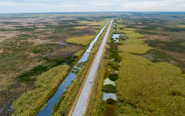 istock The highway on the swamp 1140448432