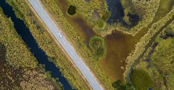 Top view aerial view of the swamp nearby Grand Chenier, Louisiana, USA, in autumn.